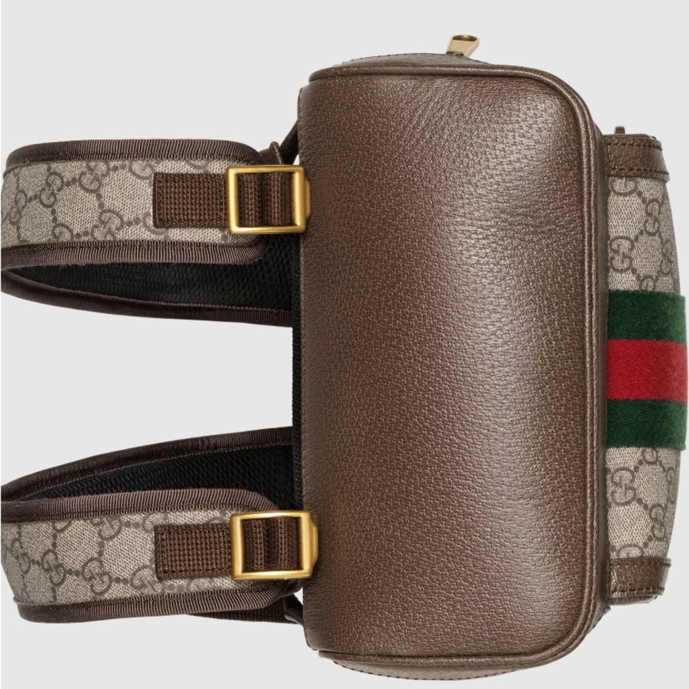 Authentic Ophidia Gg Small Backpack - image 5